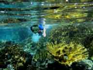 st john snorkel