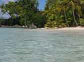 Solomon Beach